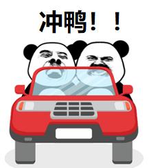 趣观世界｜神操作！奶牛涂上“斑马纹”，只为防牛蝇