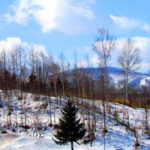 日本旅游:春来北海道之旅(图)