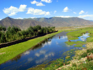 林芝风光(封面)