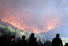 凉山时隔一年再发林火致死19人 引舆论质问