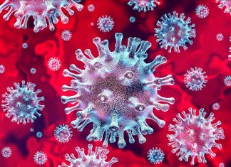 美国情报机构认为起源于中国的新型冠状病毒并非人造或经过基因改造