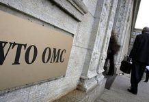 世贸组织新任总干事选战打响