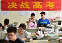 于泽远:苟晶事件余波未了