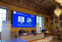 两名美国经济学家获2020年度诺贝尔经济学奖