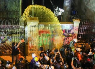 11/19新冠肺炎全球最新情報