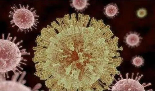 美国确认首例症状似新冠的汉坦病毒感染者丨国际热点速递