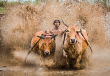 2024第三屆維多利亞國際攝影大賽啟事