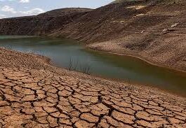 “干旱不只是天灾”:全球最脆弱人群与野生动物正在绝境中挣扎