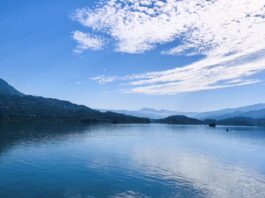 (活力中國)在綠水青山間感受三峽庫區“綠”動