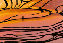 2025維多利亞國際攝影大賽入選作品:壟上行