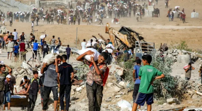 巴以冲突:以军炮火致人伤亡 卡茨与扎米尔危机升级; 调解方齐聚开罗 讨论加萨停火协议第2阶段;古特雷斯:巴勒斯坦人民享有自决权