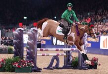 顶级骑师强强对决 压轴挑战赛即将上演