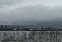 2025維多利亞國際攝影大賽入選作品:水墨金陵