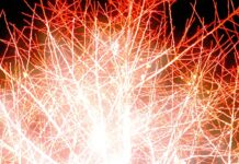 2025維多利亞國際攝影大賽入選作品:脈絡