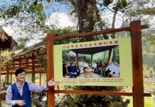 散文:《山茶映心》