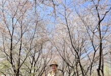 首尔江南樱朝记