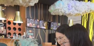 烏茲別克市場機遇持續釋放 Feelnet服務中國企業深耕本地市場