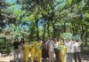 “非遗进景区”展演活动开展 非遗孙氏太极拳精彩亮相联峰山