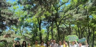 “非遗进景区”展演活动开展 非遗孙氏太极拳精彩亮相联峰山