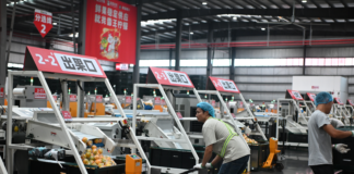 重慶農產品出口增勢迅猛 產業鏈日趨成熟