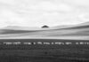 2026維多利亞國際攝影大賽入選作品:大地的詩行