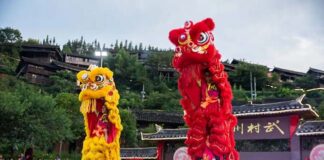 粤黔共鉴传武韵 功夫同台促交融!佛山功夫代表团走进天柱功夫村武林群英汇