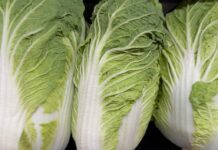 河北省爆白菜泡甲醛後出貨 引發鄰國食安疑慮