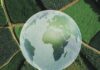 新书:支持2.4亿小农户转型 有望满足全球至2050年新增粮食需求