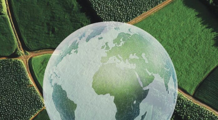 新书:支持2.4亿小农户转型 有望满足全球至2050年新增粮食需求